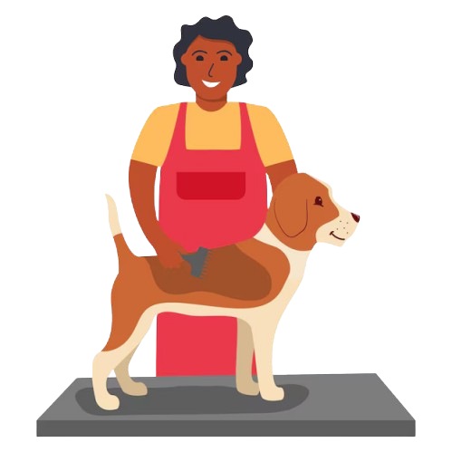 Pet Grooming Jayanagar