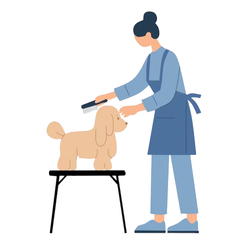 Professional Groomers Jayanagar