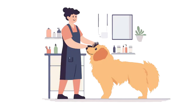 Breed Specific Grooming Jayanagar