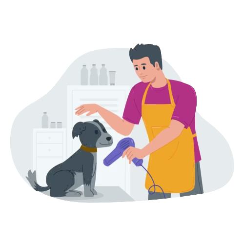 Grooming Packages Jayanagar
