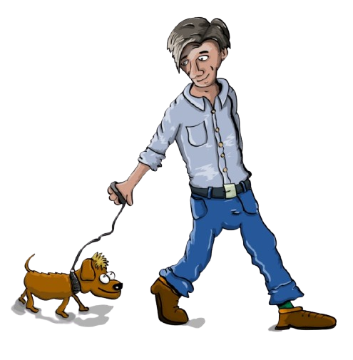 Premium dog walking