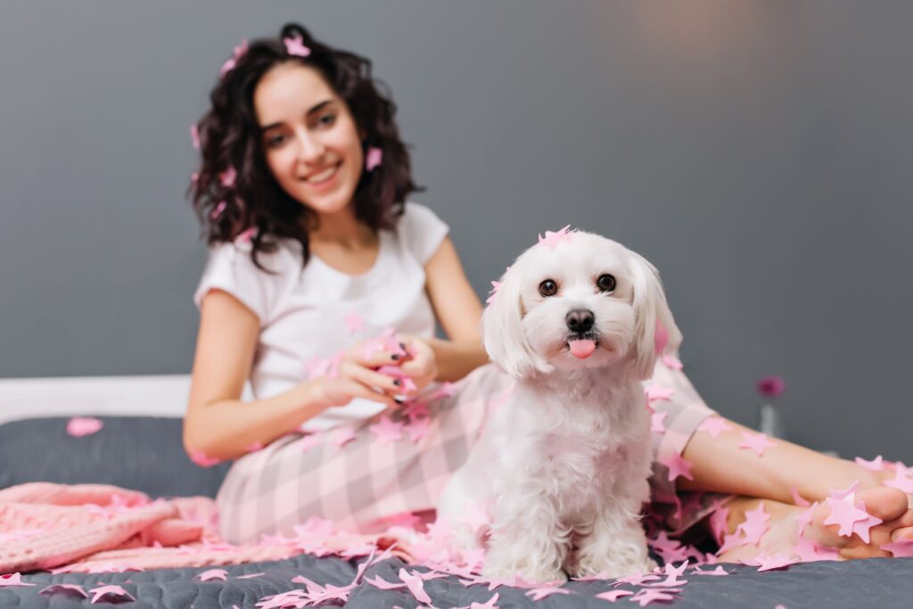 Why Professional Pet Grooming is Essential for Your Dog