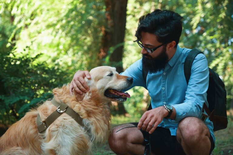 Safe & Comfortable Boarding for Your Pets